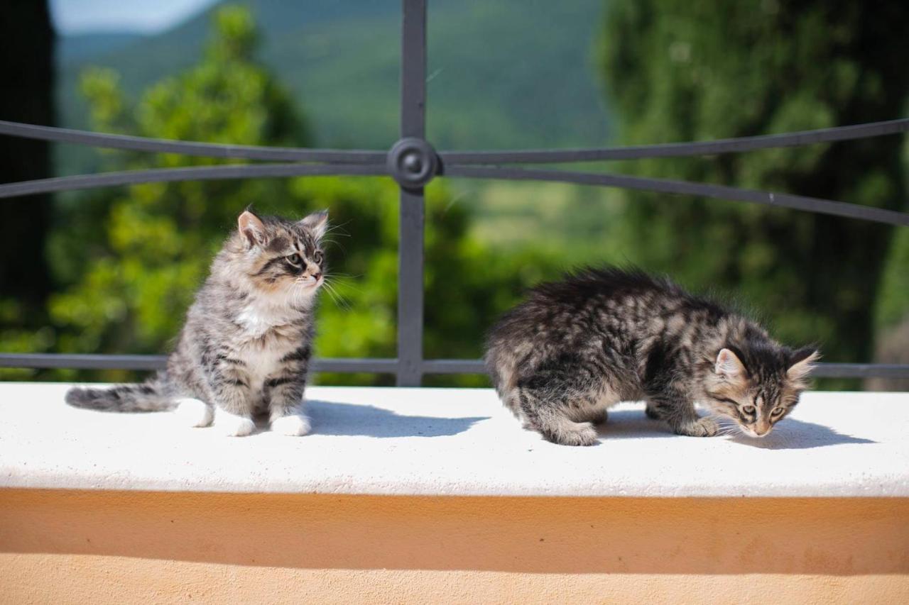 Borgo Incantato Spoleto Pompagnano Екстериор снимка