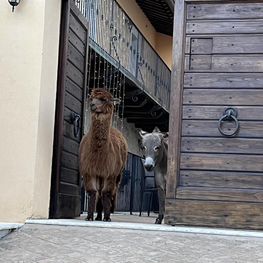 Borgo Incantato Spoleto Pompagnano Екстериор снимка